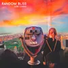 About Random Bliss Song